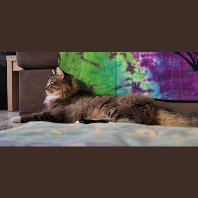 Photo of Shaka
