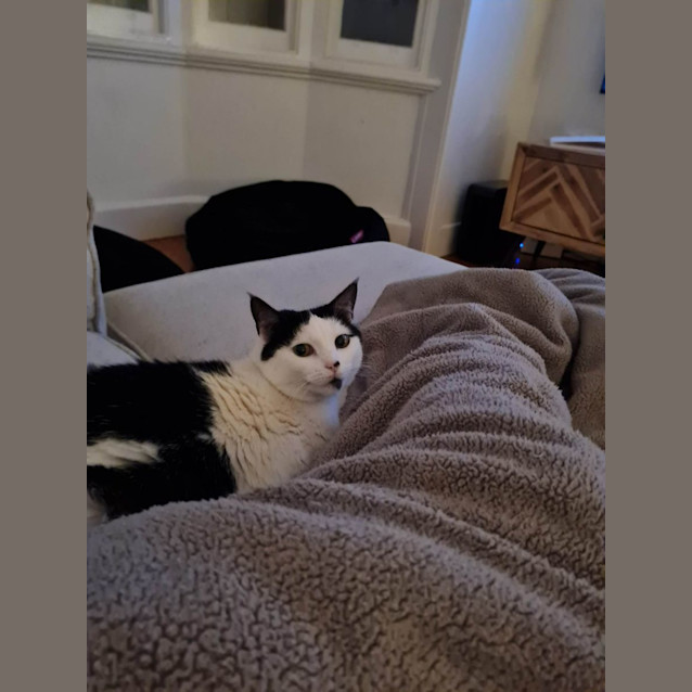 Photo of Kiwi