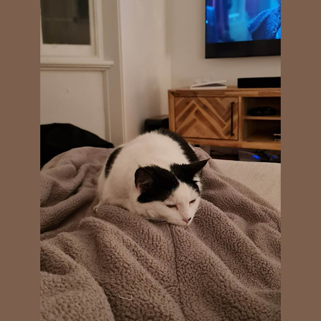 Photo of Kiwi