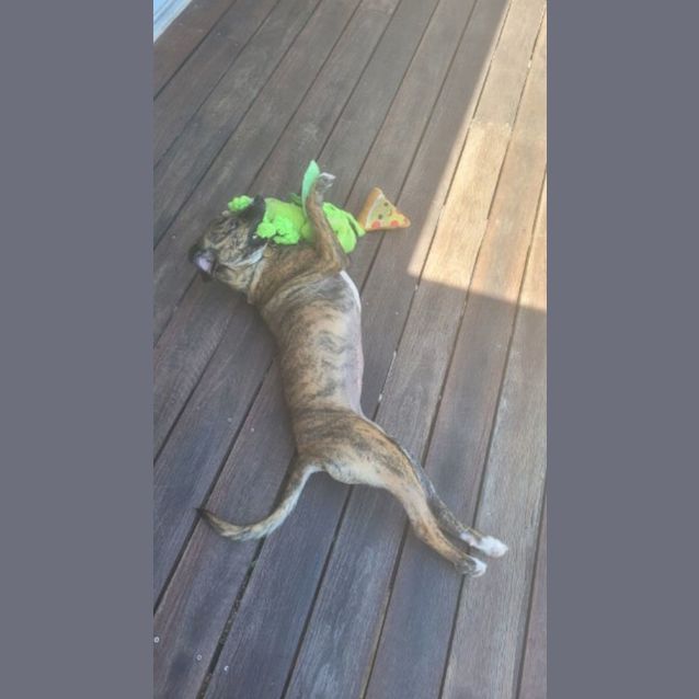 Photo of Chloe