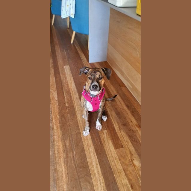 Photo of Chloe