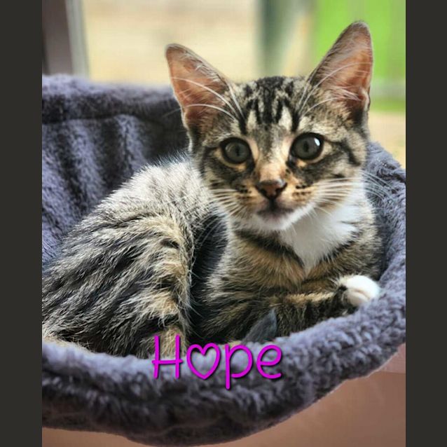 Photo of Hope