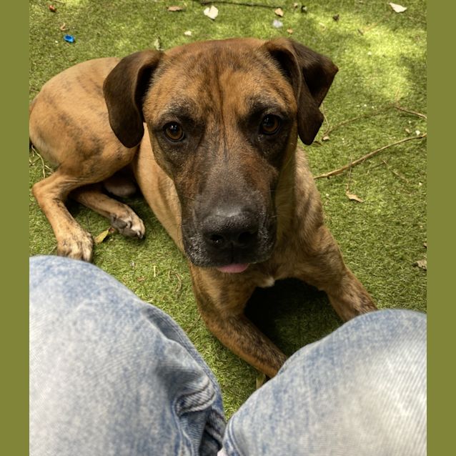 Photo of Rex