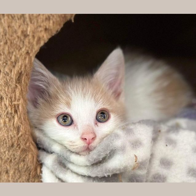 Photo of Monte Carlo