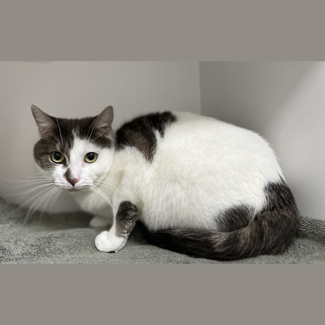 Photo of Lumi