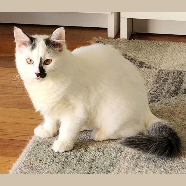 Photo of Elinor   Located In Melton