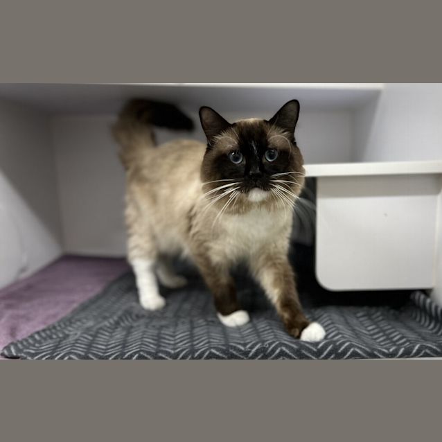 Photo of Jasper