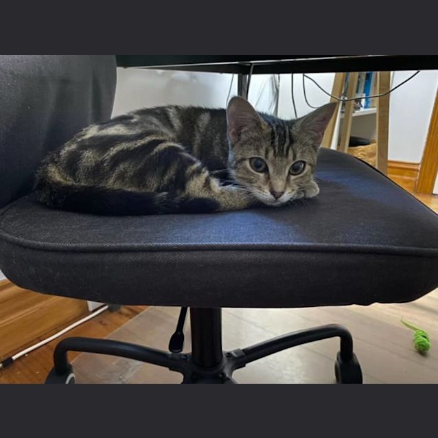 Photo of Lovely Lexi