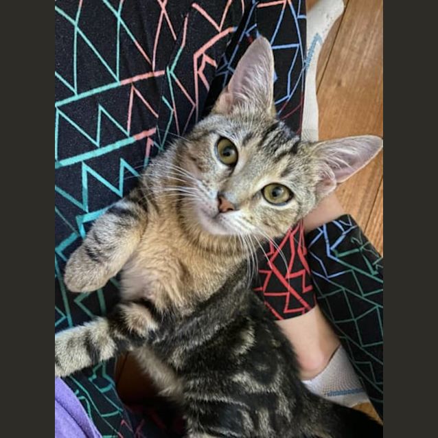 Photo of Lovely Lexi