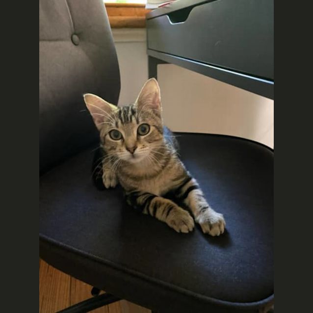 Photo of Lovely Lexi