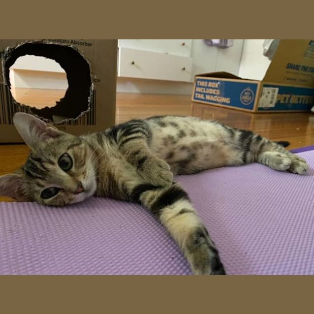 Photo of Lovely Lexi