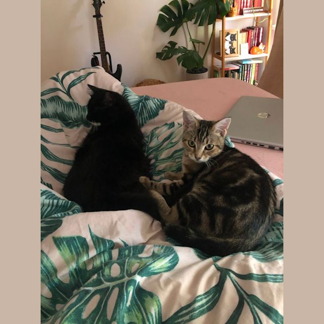 Photo of Lovely Lexi