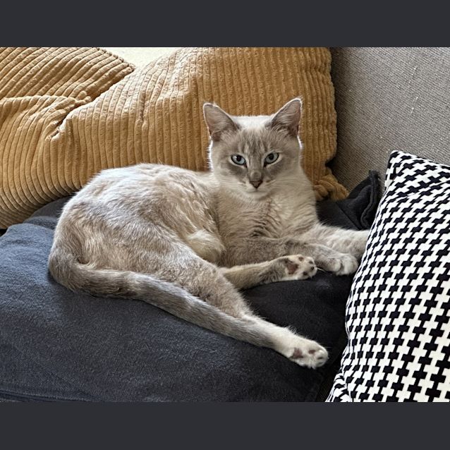 Photo of Freya