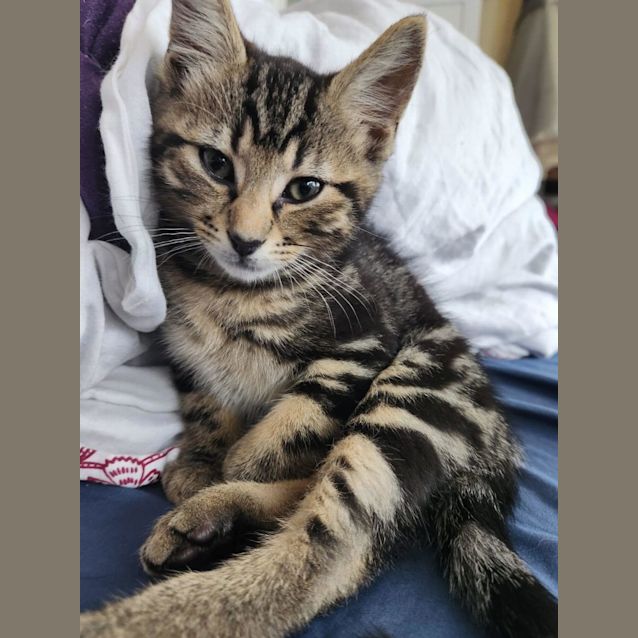 Photo of Beautiful Boyd 