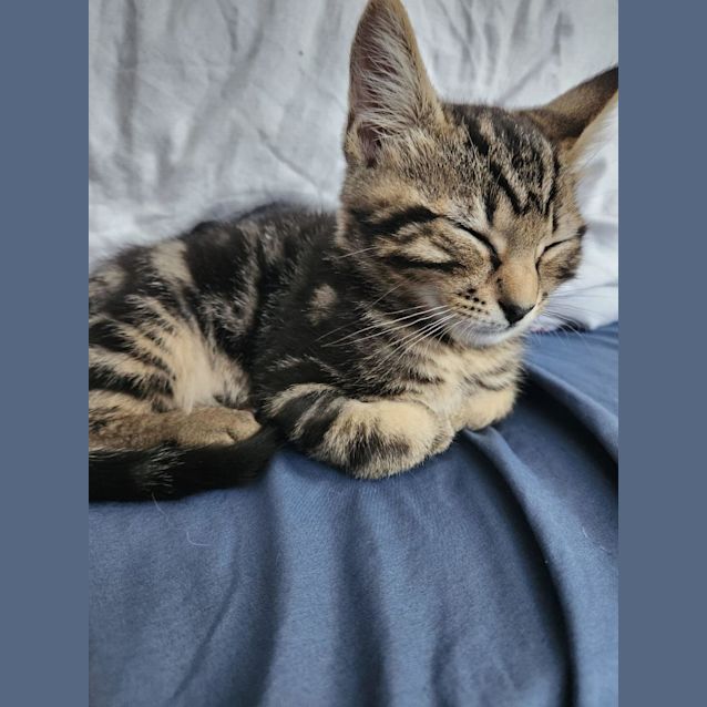 Photo of Beautiful Boyd 