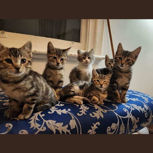 Photo of Beautiful Boyd 