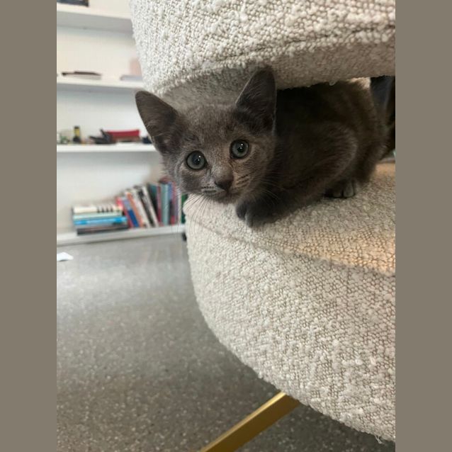 Photo of Magical Matilda 