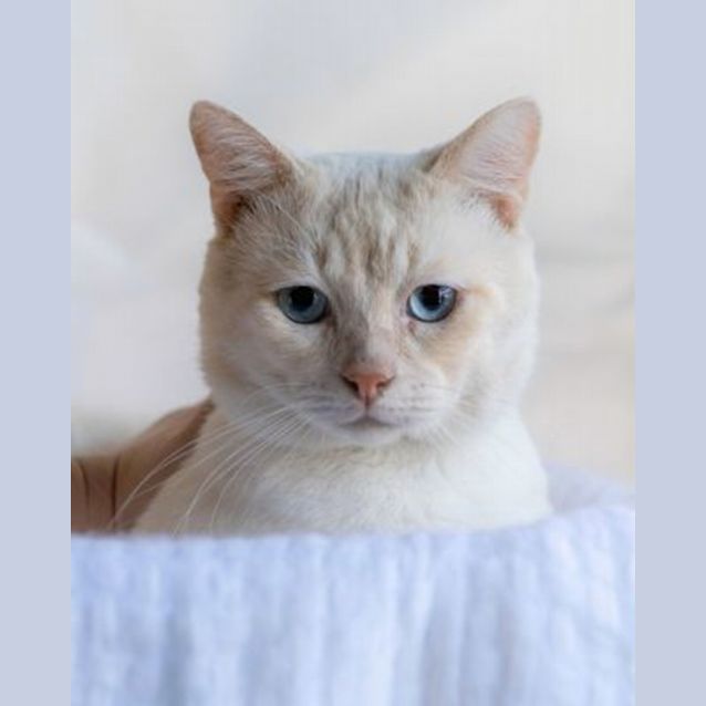 Photo of Kasper