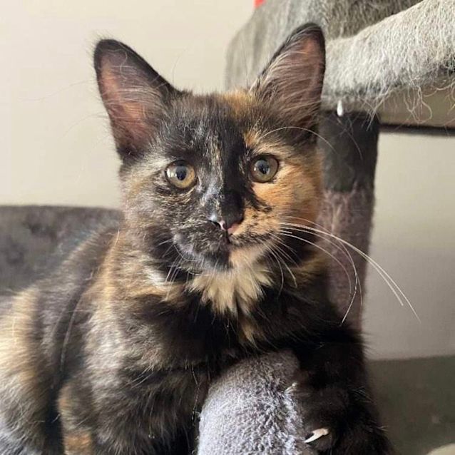 Photo of Harper 💞