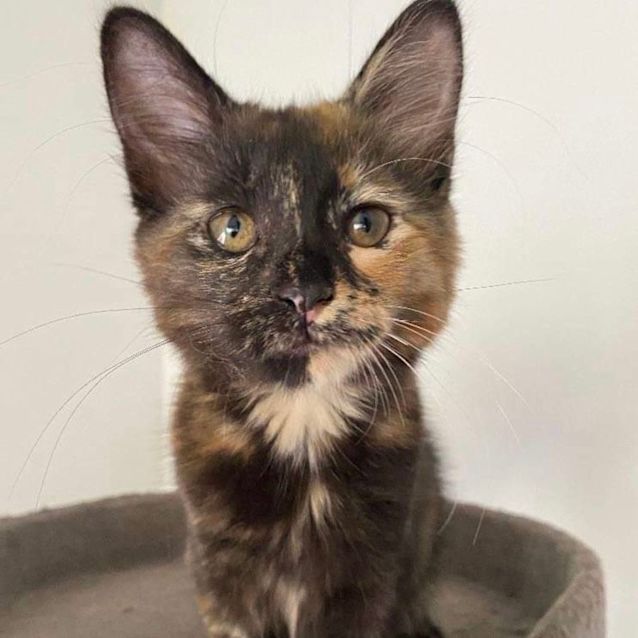 Photo of Harper 💞