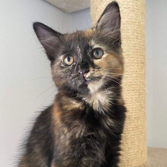 Photo of Harper 💞