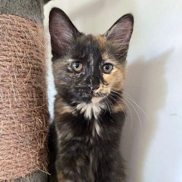 Photo of Harper 💞