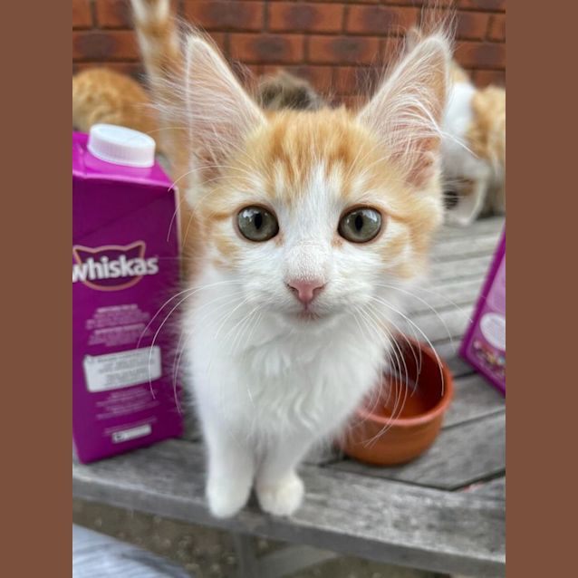 Photo of Happy