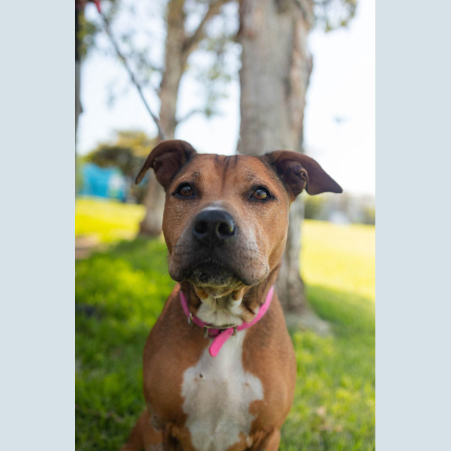Photo of Ruby