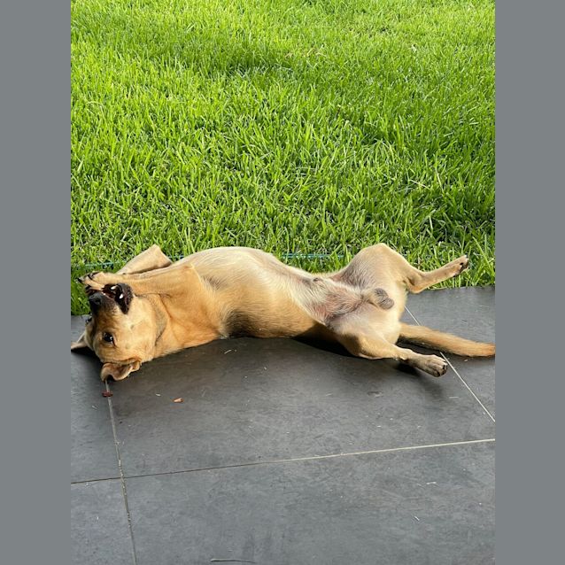 Photo of Jack