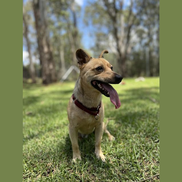 Photo of Jack