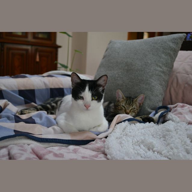 Photo of Missy & Tony