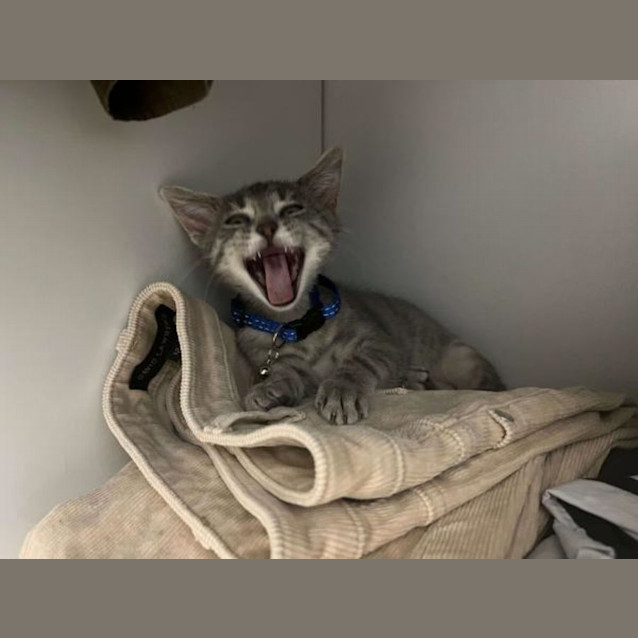 Photo of Teddy Westside