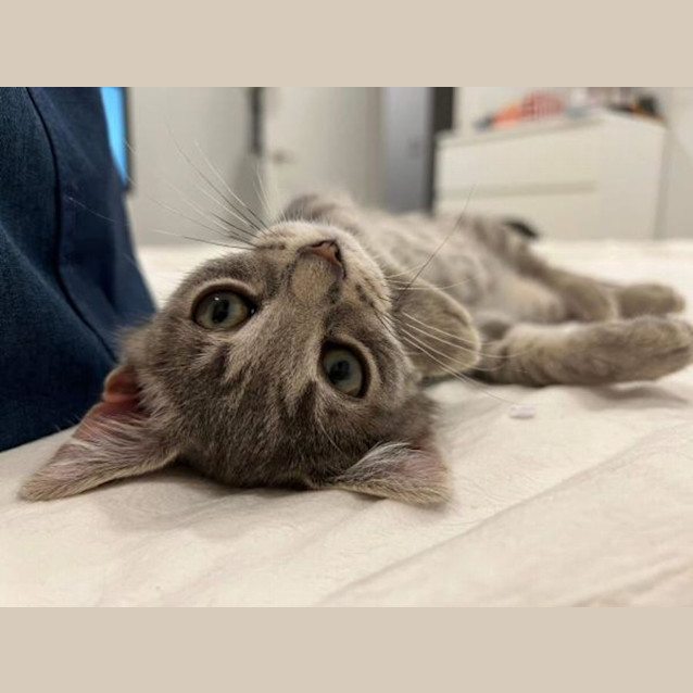 Photo of Teddy Westside