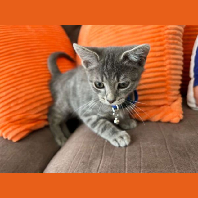 Photo of Teddy Westside