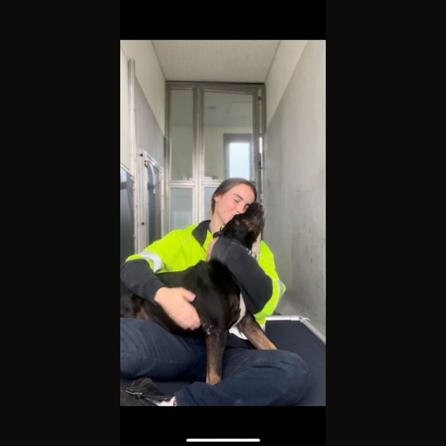 Photo of Zeus (Imp. 6)