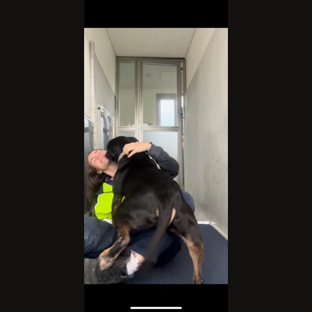 Photo of Zeus (Imp. 6)