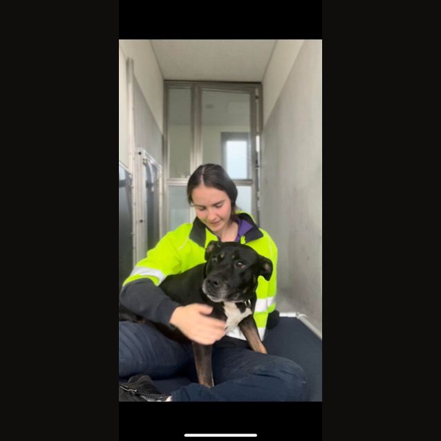 Photo of Zeus (Imp. 6)