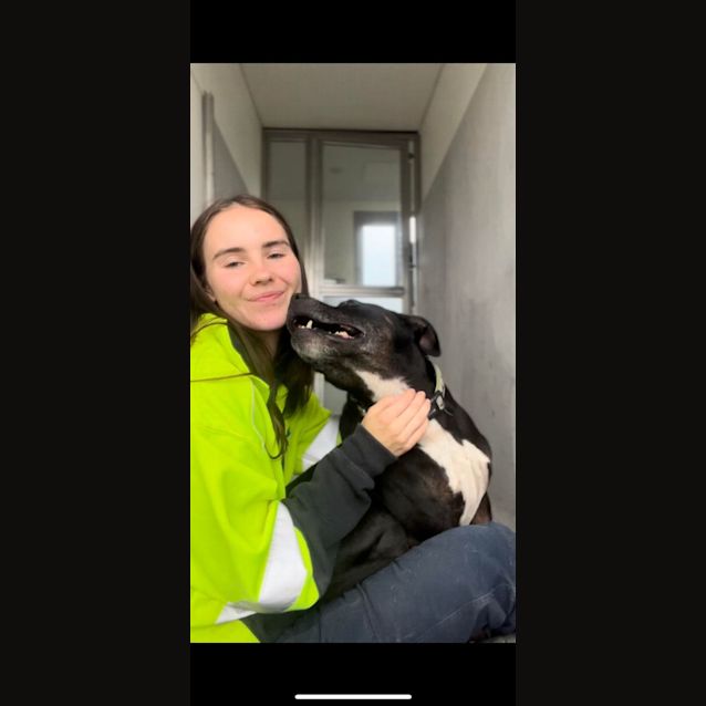 Photo of Zeus (Imp. 6)