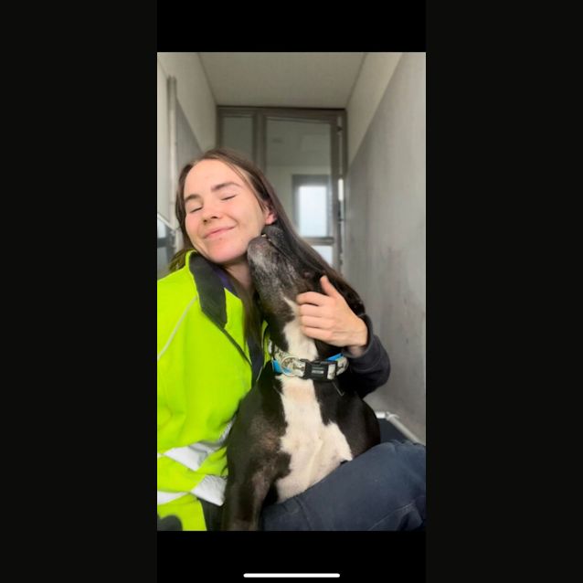 Photo of Zeus (Imp. 6)