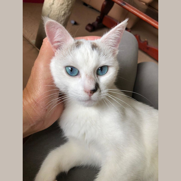 Photo of Roxy