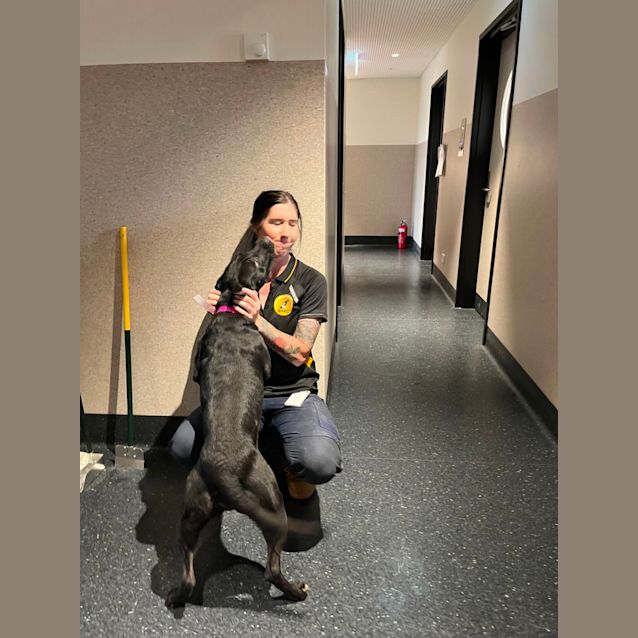 Photo of Sammi (Imp. 60)