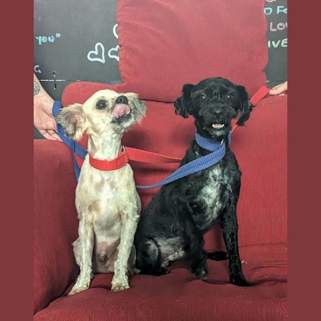 Photo of Benji & Slick