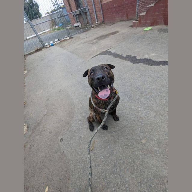 Photo of Archie