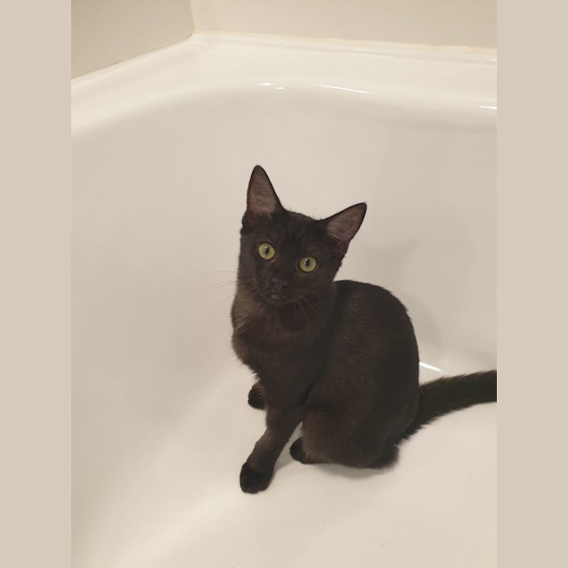 Photo of Bernie And Amy 