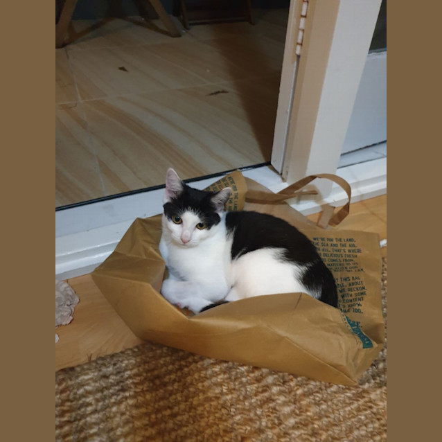 Photo of Bernie And Amy 