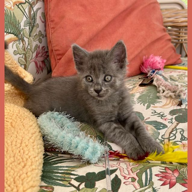 Photo of Alfie And Big Ears