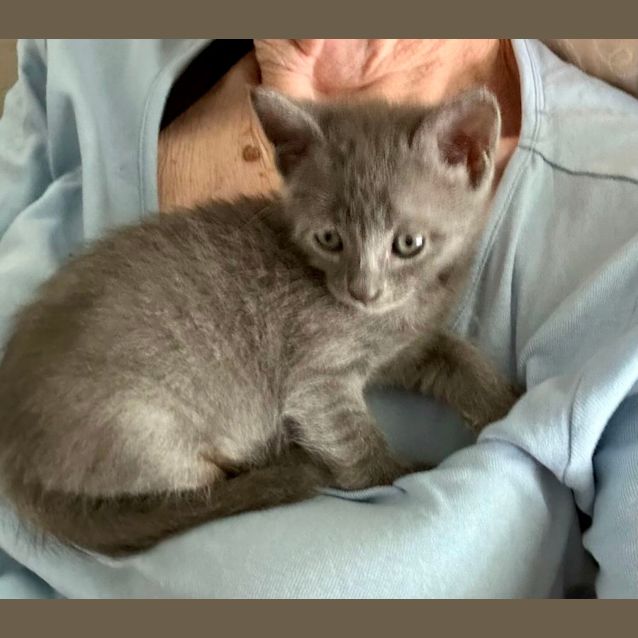 Photo of Alfie And Big Ears