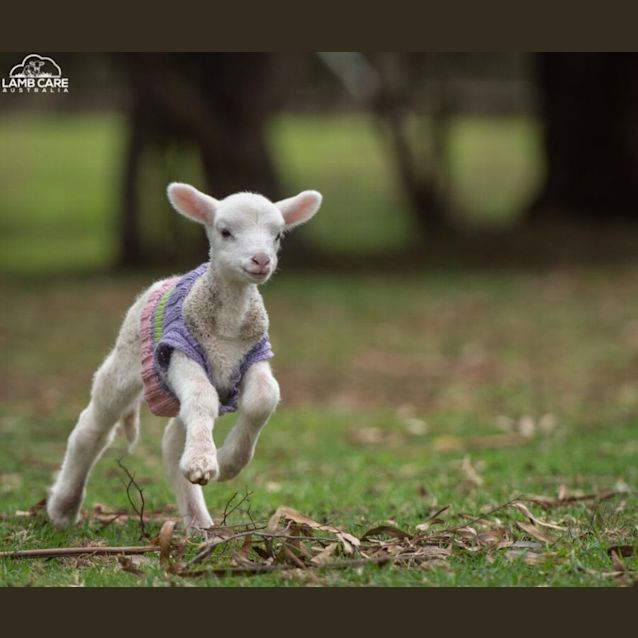 Photo of Beth (Female) And Dutton (Male)