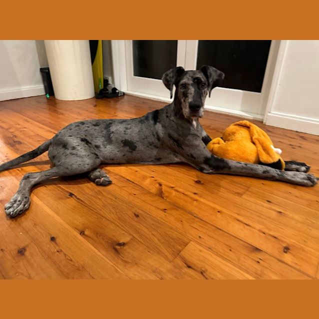 Photo of Leilani