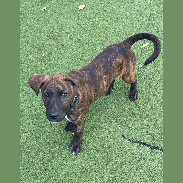 Photo of Harry Hardcore